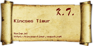 Kincses Timur névjegykártya